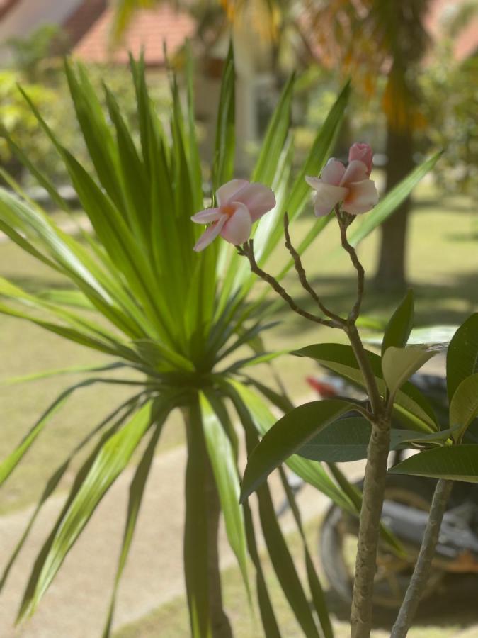 Paradis Villa A9, Koh Kho Khao Koh Kho Khao Island Dış mekan fotoğraf